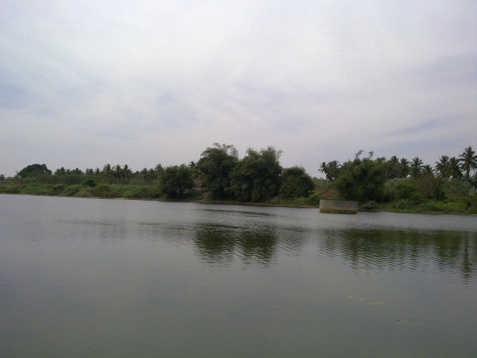 The Natural Beauty of Esanatham in 2009
